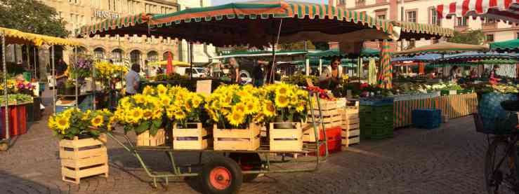 Wochenmarkt in Darmstadt. (Foto: Held)